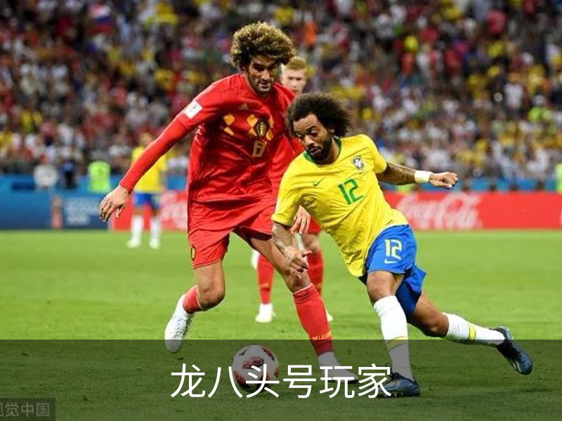 龙八头号玩家简介